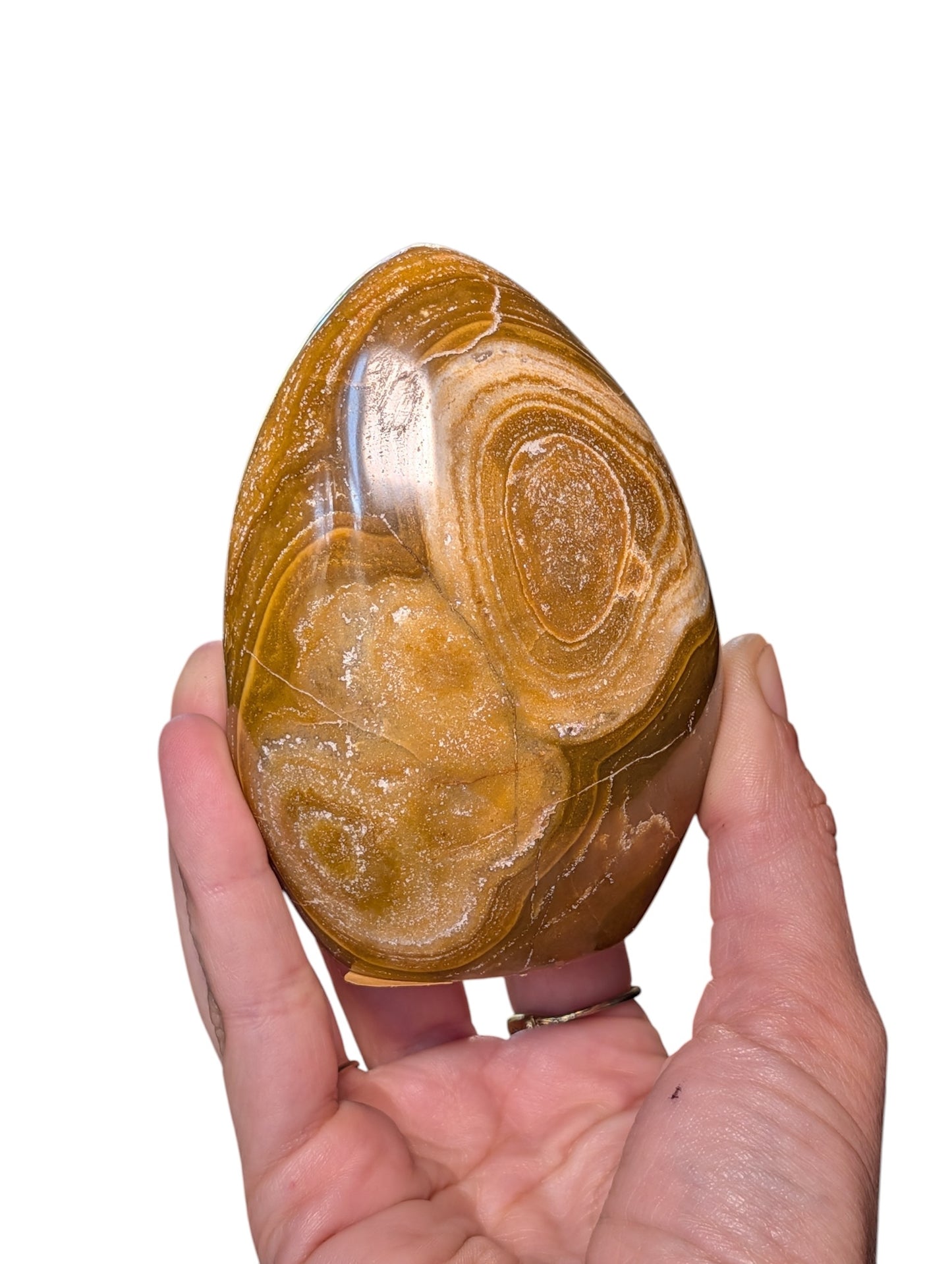 Polished Jasper