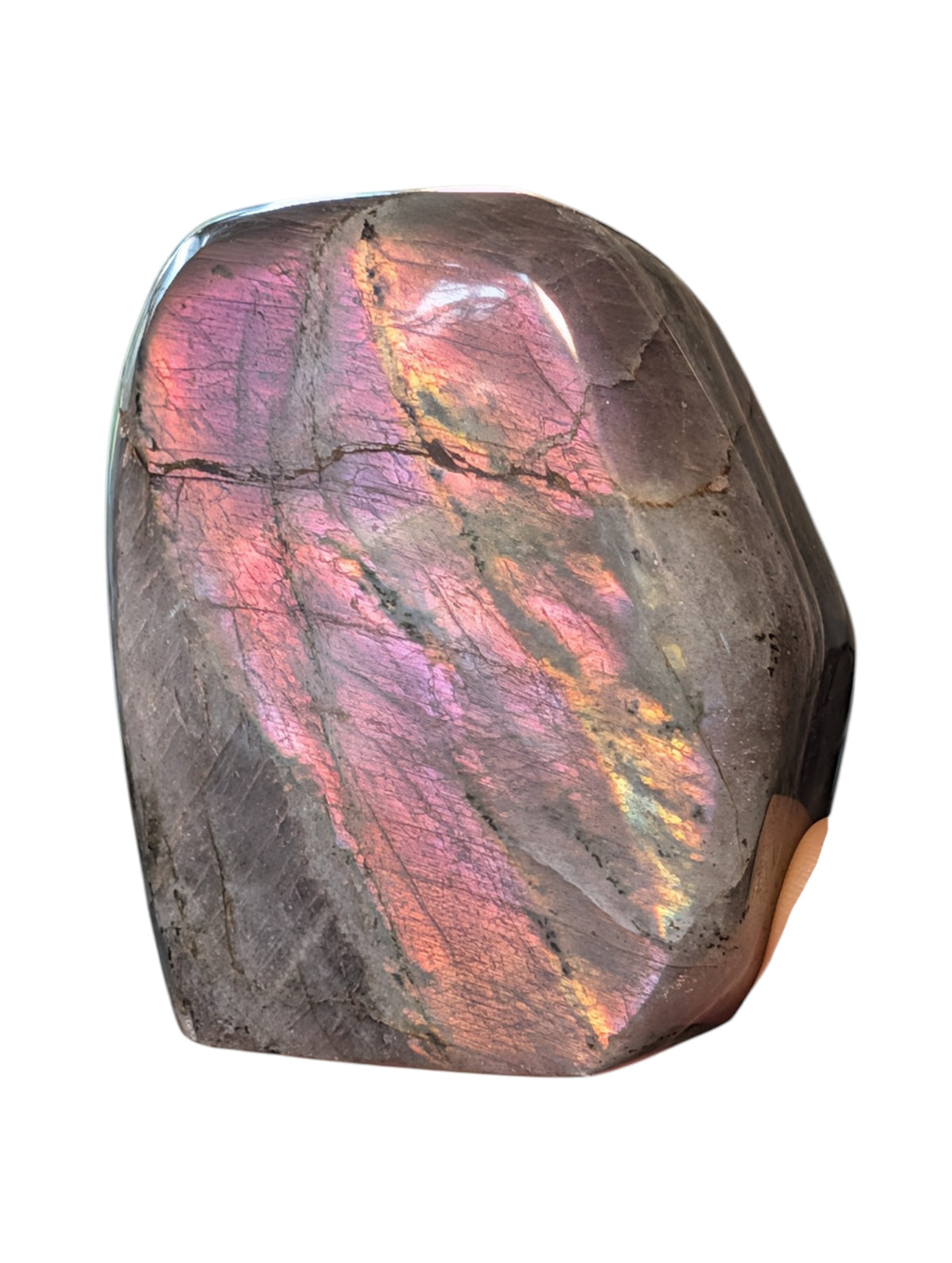Polished Labradorite